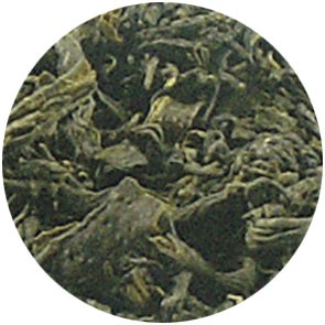 Bio Korea Jeju OP