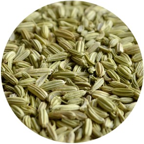 Fenchel ganz