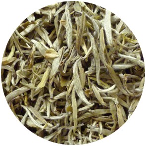 China Pai Mu Tan Silvery Needle