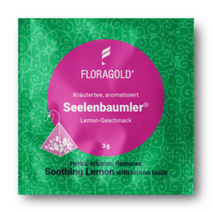 Pyramidenbeutel KT Seelenbaumler® 100er