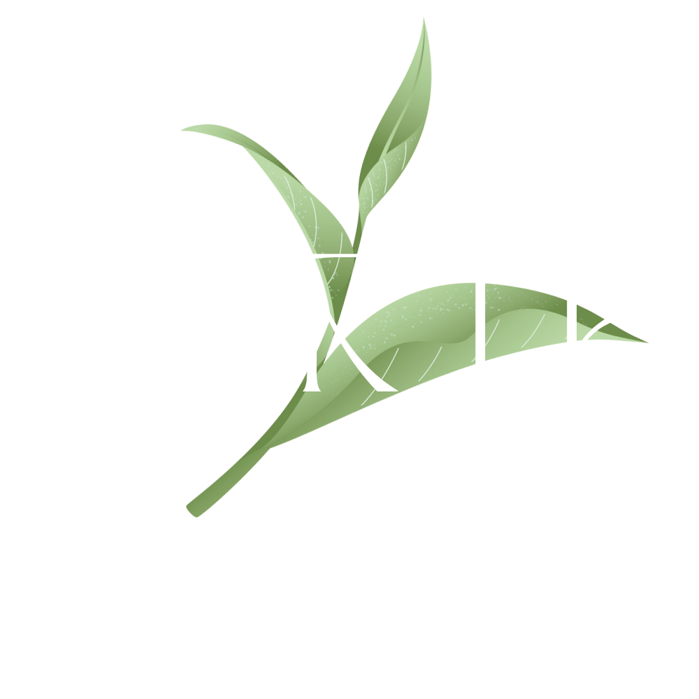 wirth-tee.de