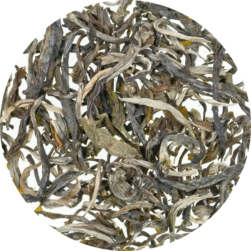 92511_guangxiwhitebuds