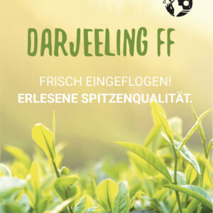 Flugtee Flyer DIN A6