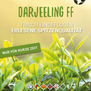 Flugtee Poster